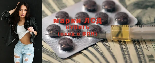 ПСИЛОЦИБИНОВЫЕ ГРИБЫ Беломорск