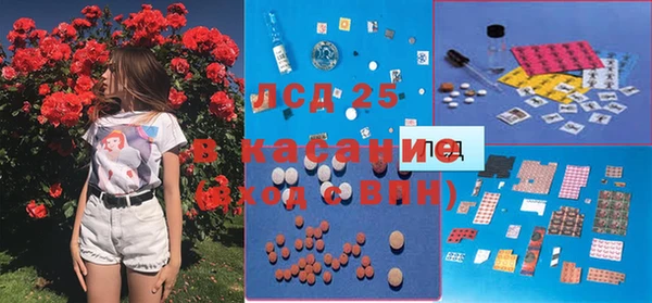 ПСИЛОЦИБИНОВЫЕ ГРИБЫ Беломорск