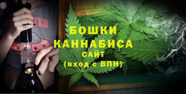 ПСИЛОЦИБИНОВЫЕ ГРИБЫ Беломорск